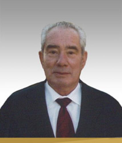 Ernesto Ferreira da Silva