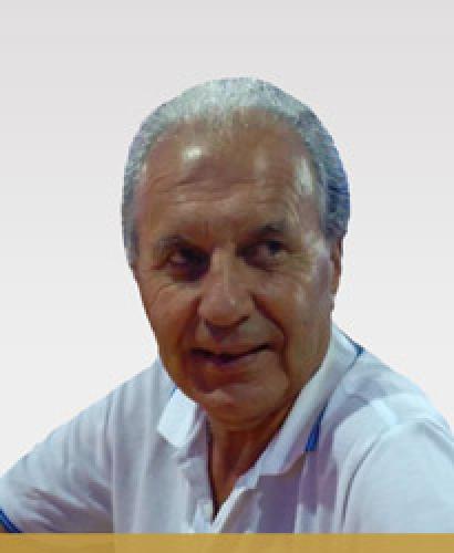 Manuel Fernando da Silva Santos